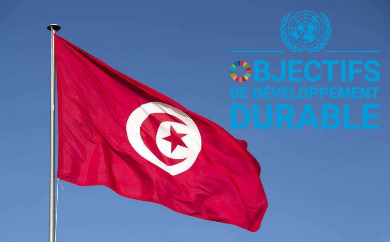 Deuxième rapport national volontaire sur la mise en œuvre des ODD en Tunisie - 2021