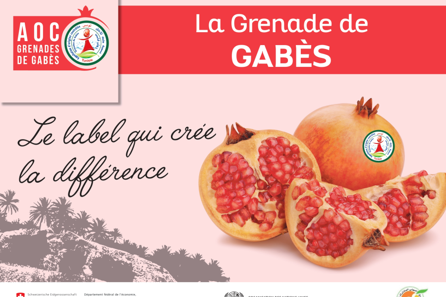 Une Première: La Grenade de Gabès avec label AOC fait sa parade dans sa région d’origine