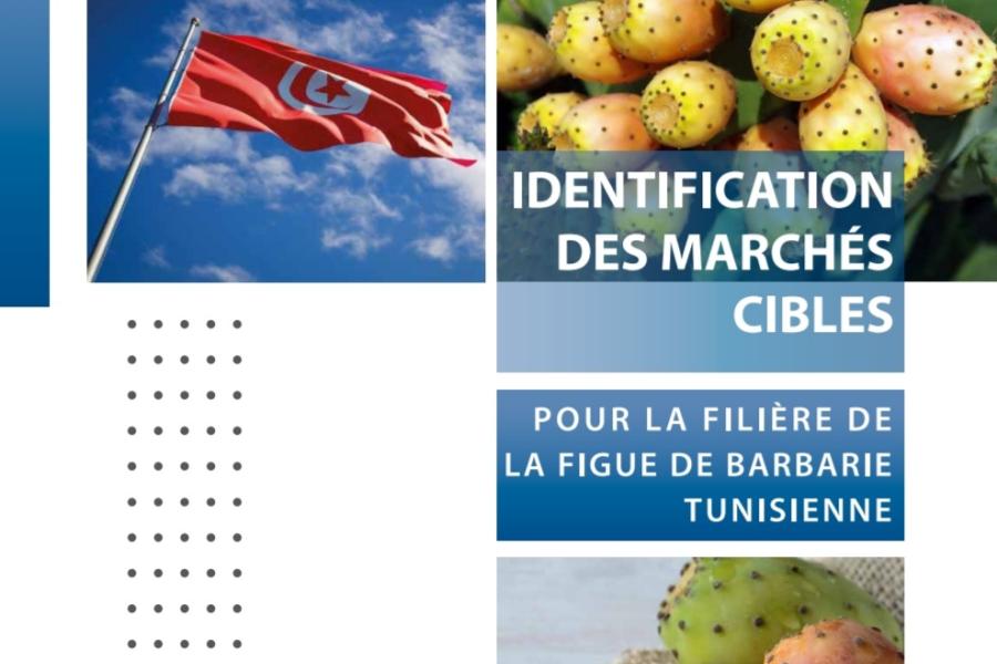 Etude de marchés : de grandes opportunités d’exportation pour tous les produits du figuier de Barbarie