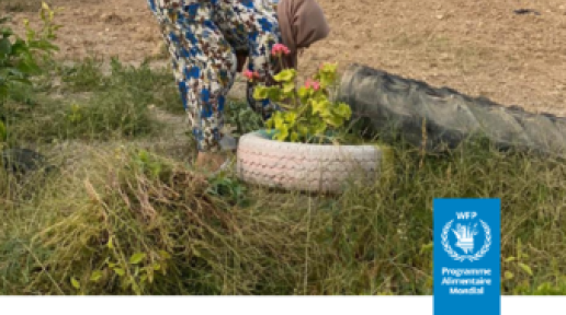 L'impact du COVID-19 sur la sécurité alimentaire des membres des Groupements de Développement Agricole en Tunisie